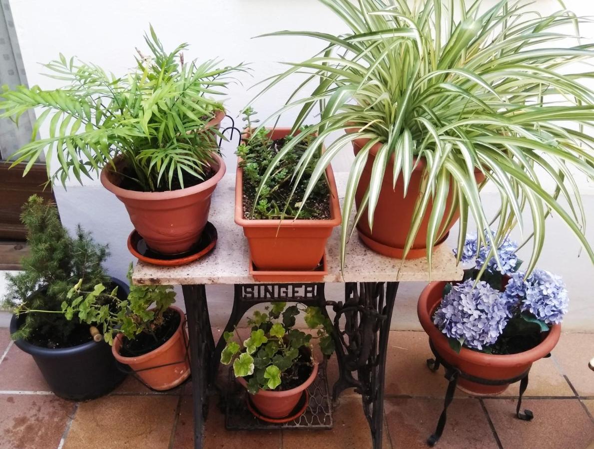 Hostal La Ribera Del Jucar Cuenca  Bagian luar foto